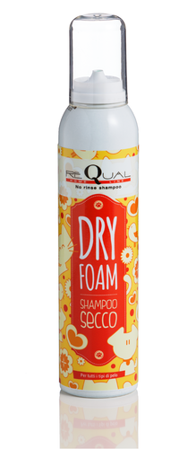ReQual Dry Foam 250 ml